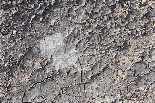 Image of Dried cracked soil