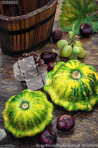 Image of Autumn still life with squash