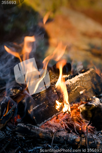 Image of Campfire Detail