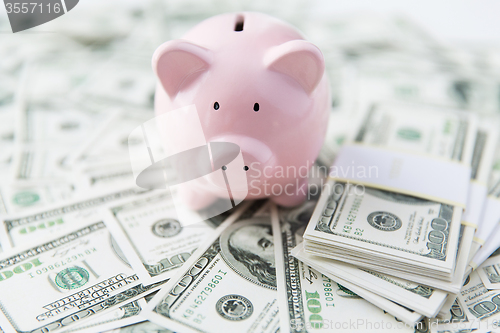 Image of close up of usa dollar money and piggy bank