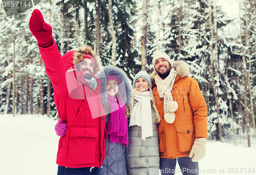 Image of group of smiling men and women in winter forest