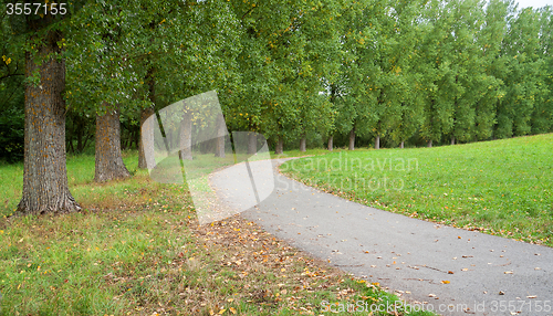 Image of rural avenue