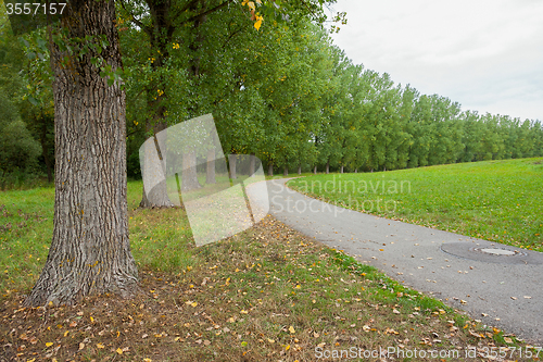 Image of rural avenue