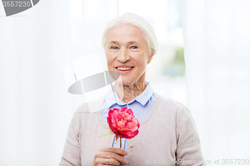 Image of happy smiling senior woman with flower at home