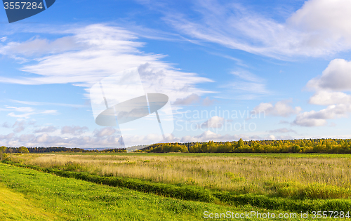 Image of Autumn blue sky and field panorama