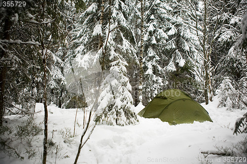 Image of Tent in Snow