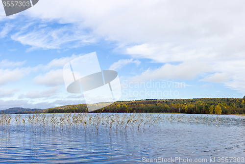 Image of Panorama of wild forest lake in autumn