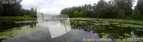 Image of summer Lake stillness