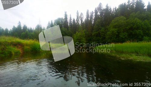 Image of River forest