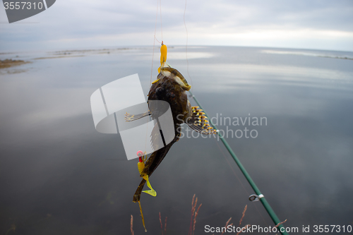 Image of sea fishing the Arctic circle