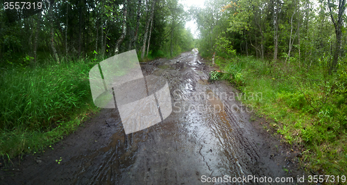 Image of Cycling Northern summer off-road panoramic