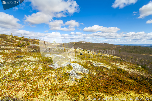 Image of Mountain tundra in Lapland