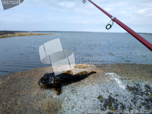 Image of sea fishing the Arctic circle