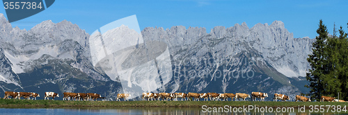 Image of Wilder Kaiser, Tyrol, Austria