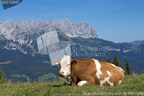 Image of Wilder Kaiser, Tyrol, Austria