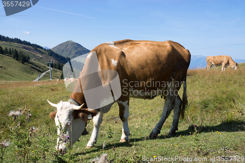 Image of Wilder Kaiser, Tyrol, Austria