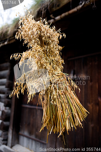 Image of Bird Feeder