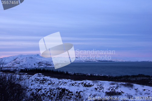 Image of Haukadalur Valley, Iceland
