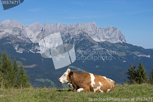 Image of Wilder Kaiser, Tyrol, Austria