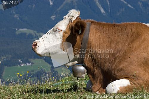 Image of Wilder Kaiser, Tyrol, Austria