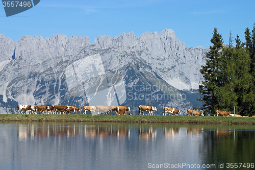 Image of Wilder Kaiser, Tyrol, Austria