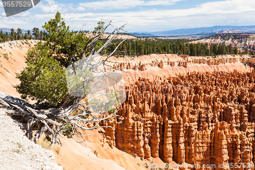 Image of Bryce Canyon