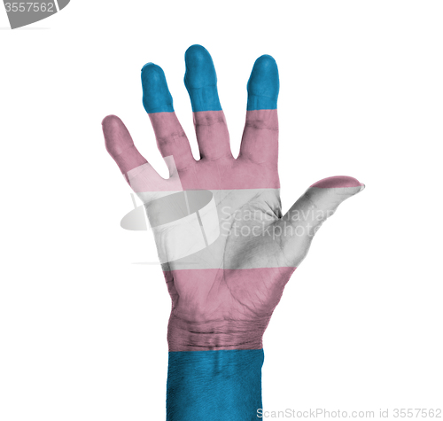 Image of Palm of a woman hand, painted with flag