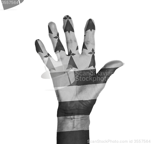 Image of Palm of a woman hand, painted with flag