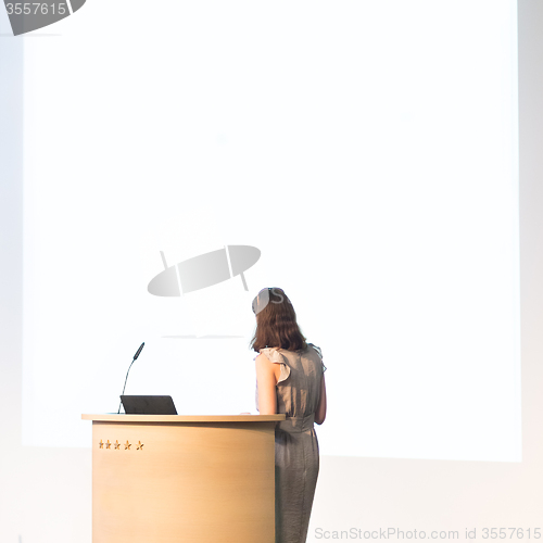 Image of Business woman making business presentation.