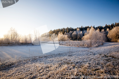 Image of Winter Landscape