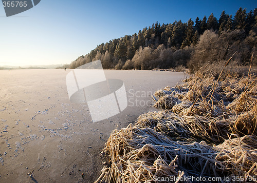 Image of Lake Landscape in Winter