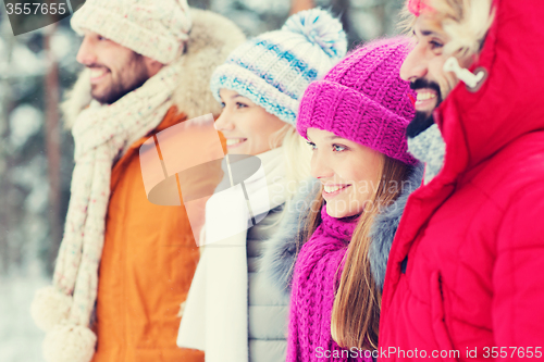Image of group of smiling men and women in winter forest