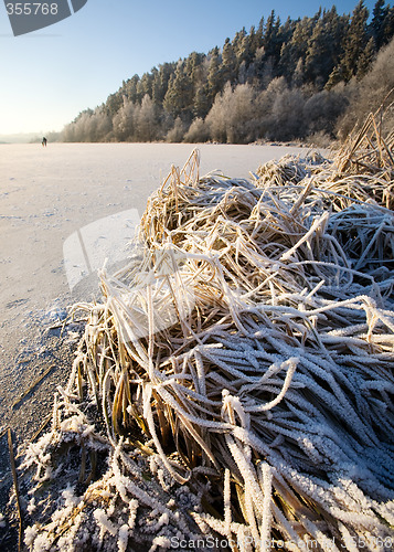 Image of Lake Landscape in Winter