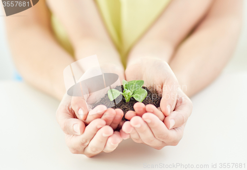 Image of close up of child and parent hands holding sprout