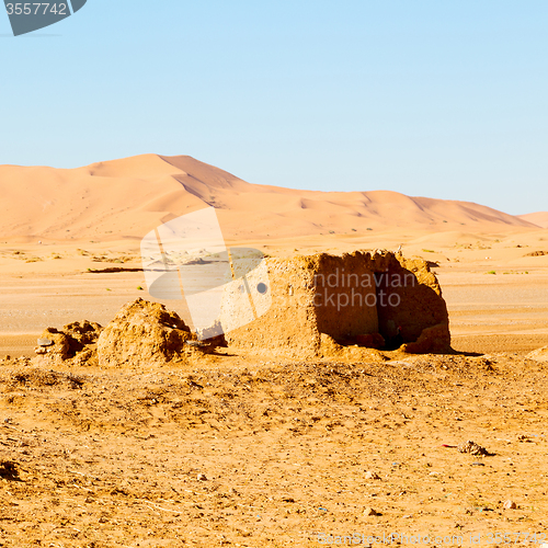 Image of sahara      africa in morocco  palm the old contruction and  his