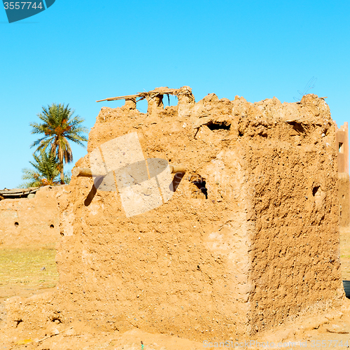 Image of sahara      africa in morocco  palm the old contruction and  his