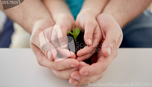 Image of close up of father and girl hands holding sprout