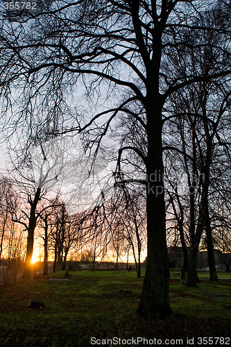 Image of Sunset in Park