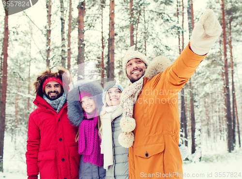Image of group of smiling men and women in winter forest