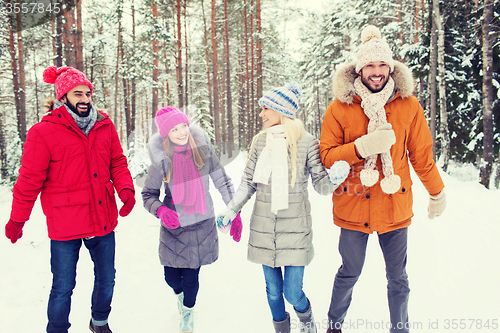 Image of group of smiling men and women in winter forest