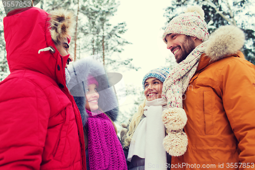 Image of group of smiling men and women in winter forest