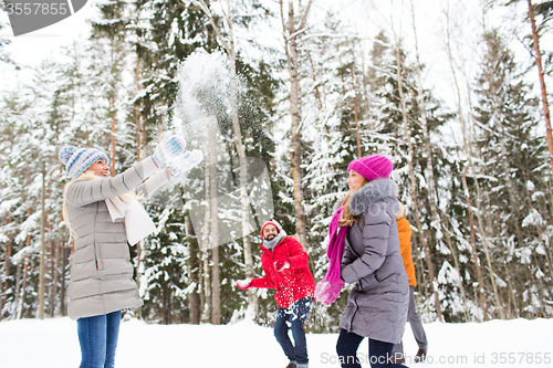 Image of group of smiling men and women in winter forest