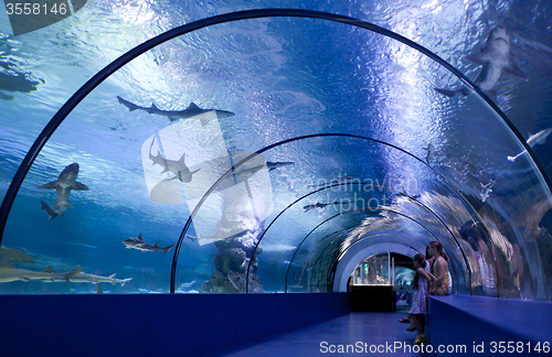 Image of Children in a water tunnel