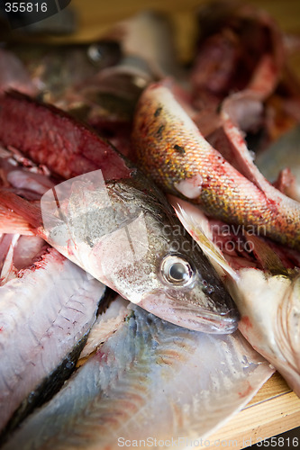 Image of Fish Guts detail