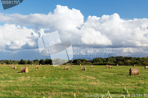 Image of haystacks or hay rolls on summer field