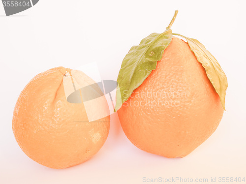 Image of Retro looking Orange fruit