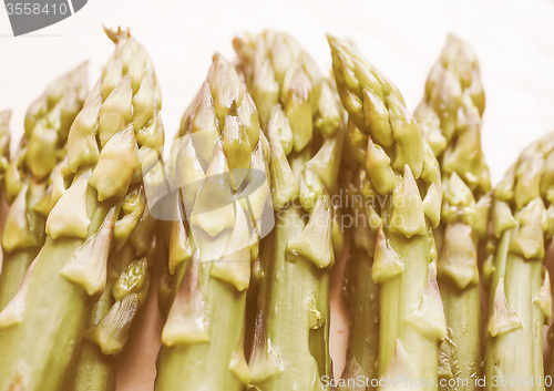 Image of Retro looking Asparagus vegetable