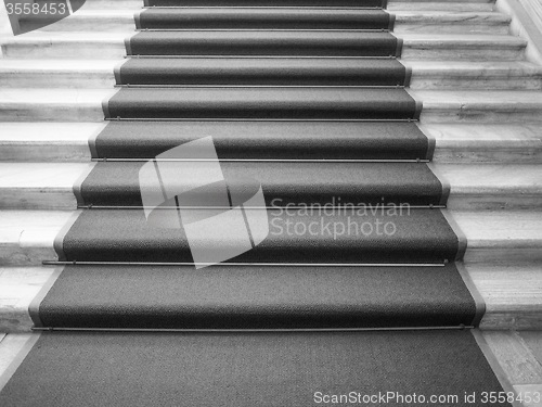 Image of Black and white Red carpet