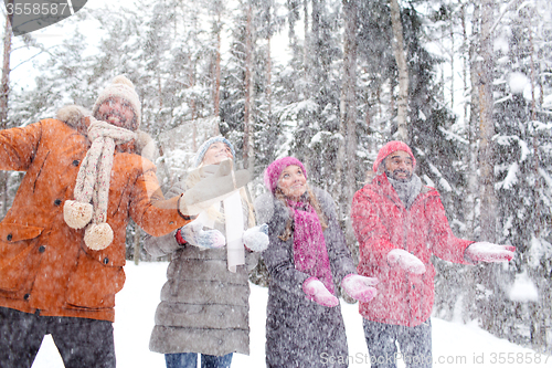 Image of group of smiling men and women in winter forest