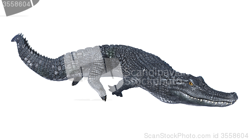 Image of Caiman